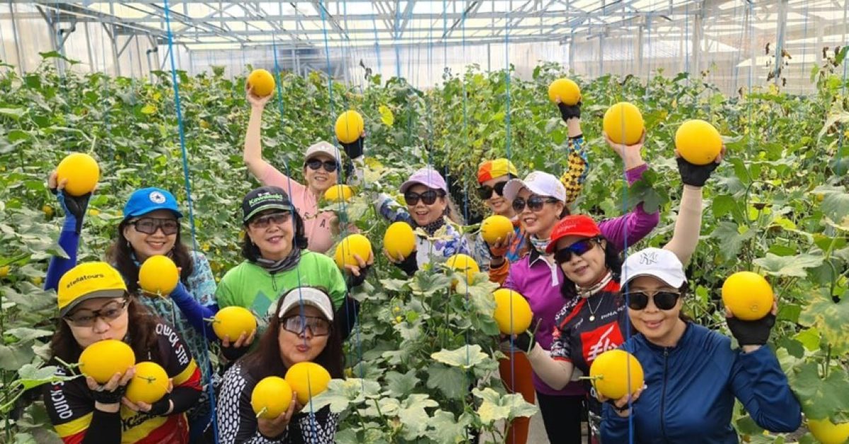 Agrowisata Taman Hati Farm Plant & Cafe: Sensasi Petik Buah Langsung di Tasikmalaya