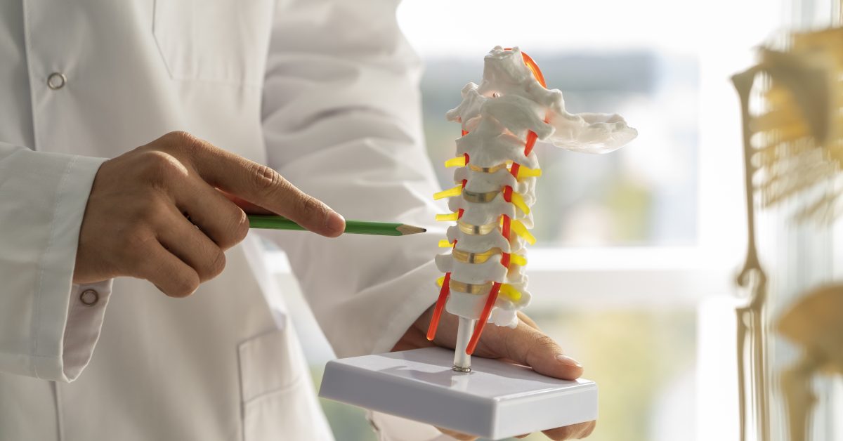 Kesehatan Tulang: Pentingnya Menjaga Kerangka Tubuh