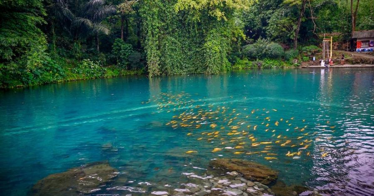 Situ Cipanten: Pesona Danau Alami dengan Air Berubah Warna di Majalengka