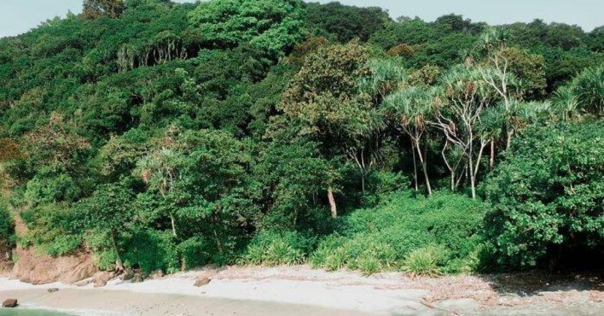 Pesona Abadi Pananjung: Menjelajahi Jantung Konservasi, tempat wisata cagar alam di Pangandaran Jawa Barat