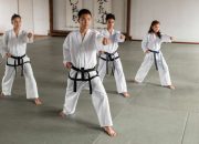 Karate: Seni Beladiri yang Berasal dari Jepang