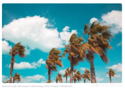 Penjelasan Ilmiah di Balik Angin Kencang Yang Melanda Tasikmalaya Pada Awal Tahun