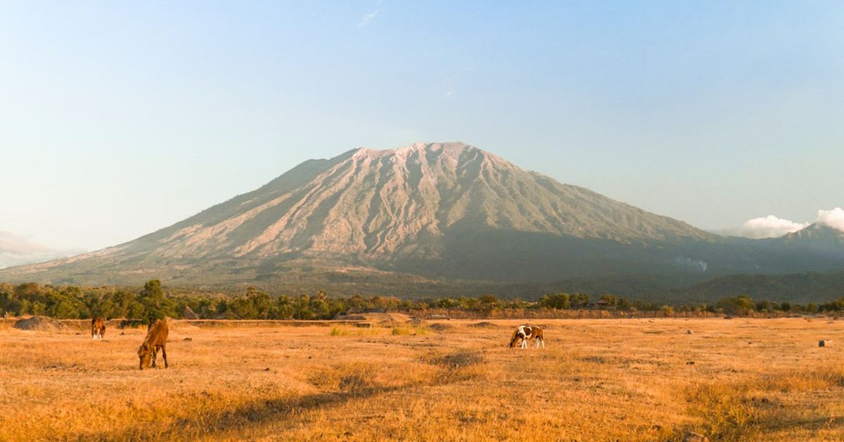 Menemukan Keajaiban Padang Afrika di Timur Pulau Dewata