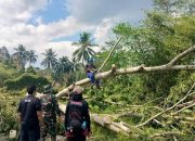 Amukan Angin Kencang di Tasikmalaya: Belasan Rumah Porak-Poranda Tertimpa Pohon Purba