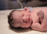 Rahasia Optimalkan Fisik Bayi Sejak Dalam Kandungan: Peran Nutrisi dan Gaya Hidup Ibu