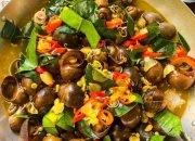 Superfood Lokal yang Terlupakan: Manfaat Konsumsi Tutut untuk Pertumbuhan Rambut dan Tulang Janin