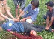 Pria di Ciamis Ngamuk dan Bacok Warga, Satu Tewas dan Tiga Luka-Luka