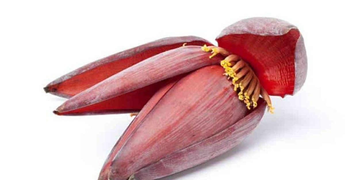 Bukan Sekadar Limbah: Jantung Pisang Adalah Kuliner Sehat Berbasis Tanaman