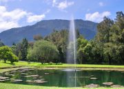 Kesejukan Lereng Gede Pangrango: Kebun Raya Cibodas Tetap Menjadi Primadona Wisata Edukasi dan Alam