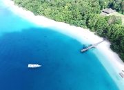 Menemukan “The Hidden Gem” Ujung Kulon: Pulau Peucang, Harmoni Sempurna Antara Satwa Liar dan Kemewahan Alam Banten