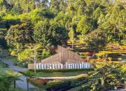 Menyesap Ketenangan di Dusun Bambu Sebuah Harmoni Sempurna Antara Budaya dan Alam Lembang