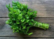 Senjata Hijau Pembersih Arteri: Menguak Rahasia Seledri dalam Menaklukkan Darah Tinggi dan Racun Tubuh