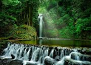 Menyibak Tirai Legenda di Balik Sejuknya Air Terjun Curug Putri Palutungan
