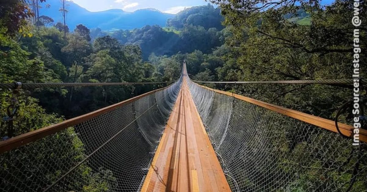 Uji Nyali di Jembatan Gantung Terpanjang: Menaklukkan Ketinggian Rengganis Suspension Bridge