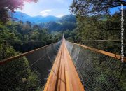 Uji Nyali di Jembatan Gantung Terpanjang: Menaklukkan Ketinggian Rengganis Suspension Bridge