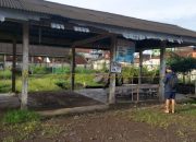 Pria Tewas Ditusuk Teman Sendiri