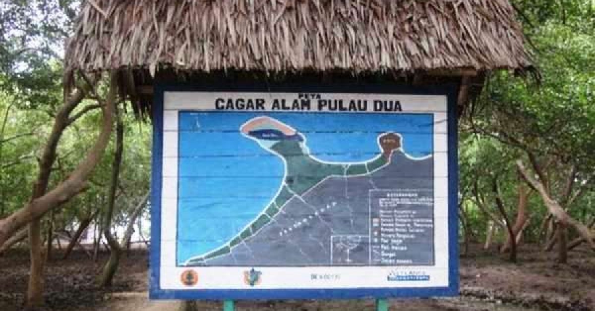 Menyibak Pesona Pulau Dua: Surga Migrasi Burung Dunia di Pesisir Banten