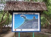 Menyibak Pesona Pulau Dua: Surga Migrasi Burung Dunia di Pesisir Banten