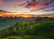 Menyibak Kabut Pagi di Sunrise Point Cukul: Destinasi Wisata “Negeri di Atas Awan” Milik Pangalengan