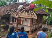 Pohon Tumbang Hantam Pemukiman di Karangjaya Tasikmalaya, Atap Rumah Warga Hancur