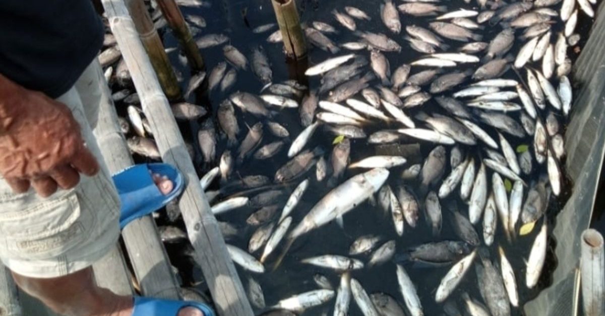 Air Menghitam di Tamansari, Warga Khawatir Pencemaran Kembali Terjadi