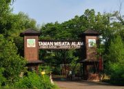 Jam Buka dan Harga Tiket Taman Wisata Alam Mangrove Angke Kapuk 2026, Mulai Rp30 Ribu