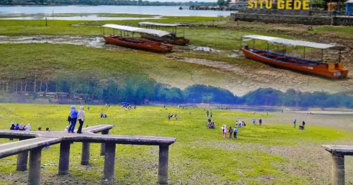 Kemarau Surutkan Situ Gede, Hamparan Rumput Hijau Jadi Daya Tarik Wisata