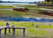 Kemarau Surutkan Situ Gede, Hamparan Rumput Hijau Jadi Daya Tarik Wisata