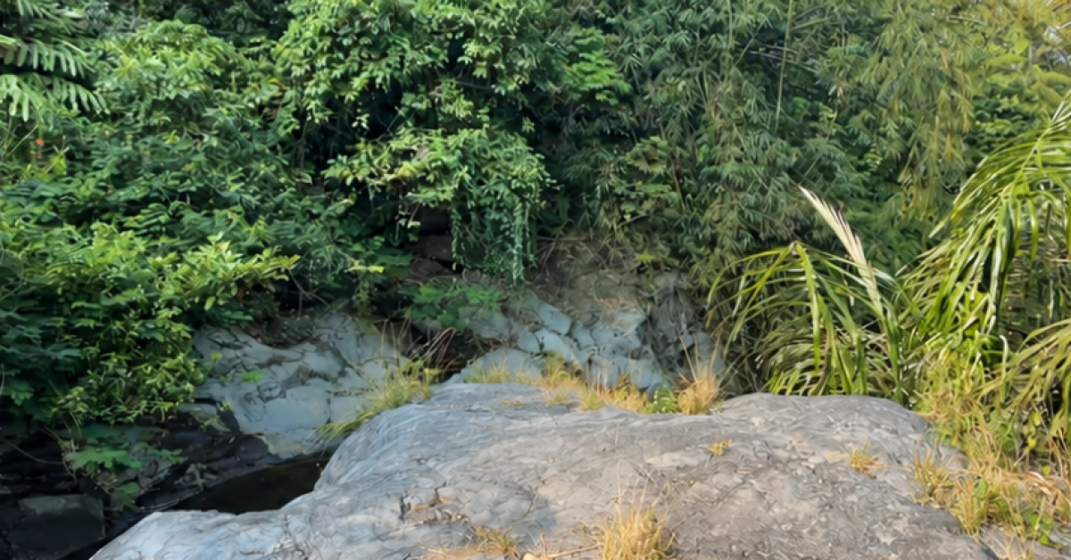 Menembus Akses Sulit, Mahasiswa BSI Explore 2026 Eksplorasi Curug Badak Santanamekar