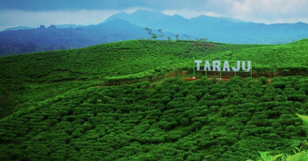 Pesona Desa Wisata Taraju Tasikmalaya, Juara ADWI 2023 Kategori Digital dan Kreatif