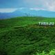 Pesona Desa Wisata Taraju Tasikmalaya, Juara ADWI 2023 Kategori Digital dan Kreatif