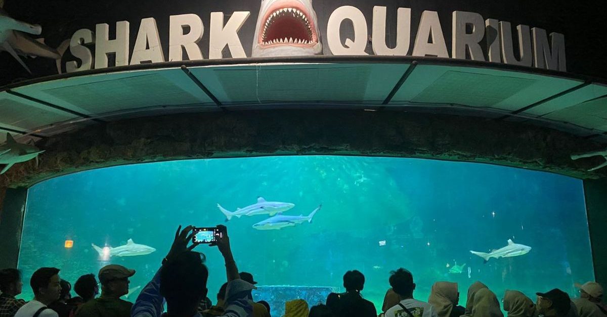 Sea World Ancol Hadirkan Audio Guide, Pengunjung Bisa Dengar Informasi Satwa