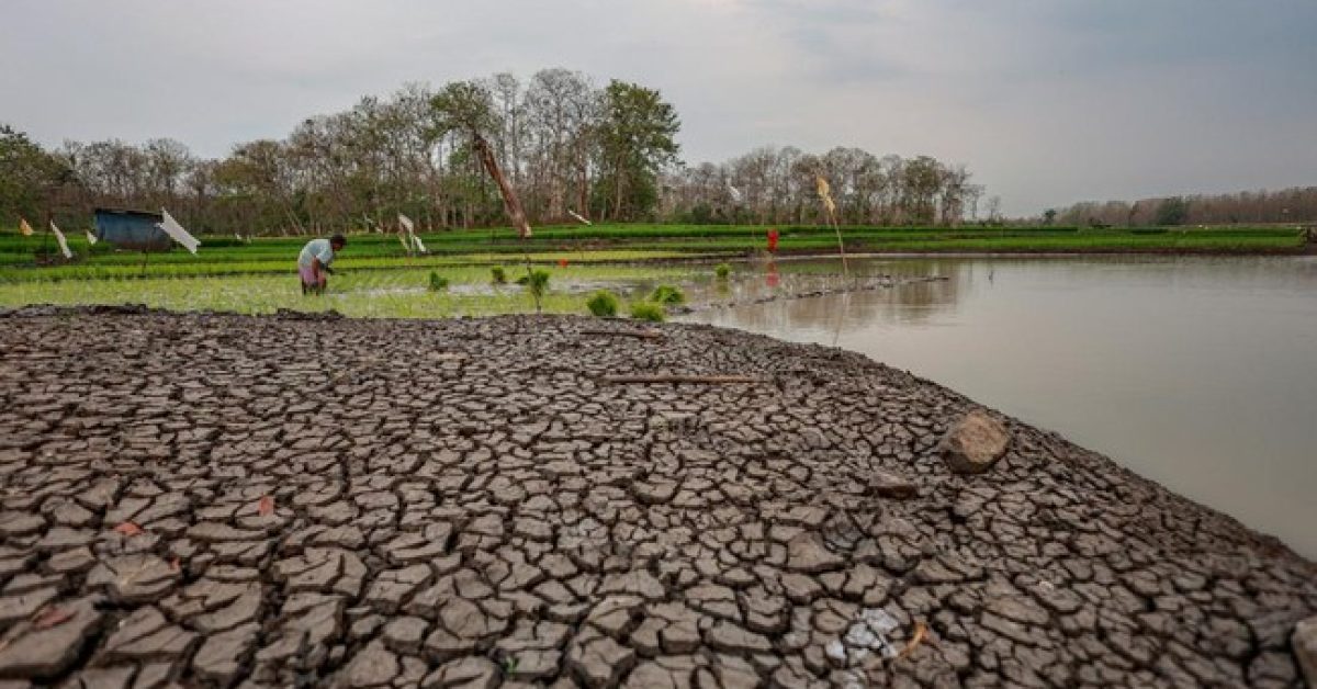 El Nino 2026, Indonesia Diproyeksikan Hadapi 19.300 Kematian Berlebih akibat Suhu Panas