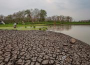 El Nino 2026, Indonesia Diproyeksikan Hadapi 19.300 Kematian Berlebih akibat Suhu Panas